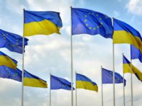 Жоден партнер ЄС не просував такі грубі порушення, які пропонують в Україні