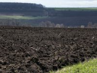 Game over: Порошенко підписав закон про земельний мораторій