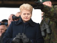 Даля йде з посади президента: як вибори змінять курс Литви щодо України