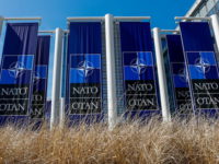 Тест на справжність намірів: чому реформа оборонних закупівель важлива для відносин із НАТО