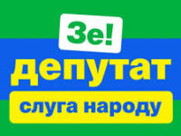 Декларування депутатів фракції партії «Слуга Народу» Чернігівської обласної ради